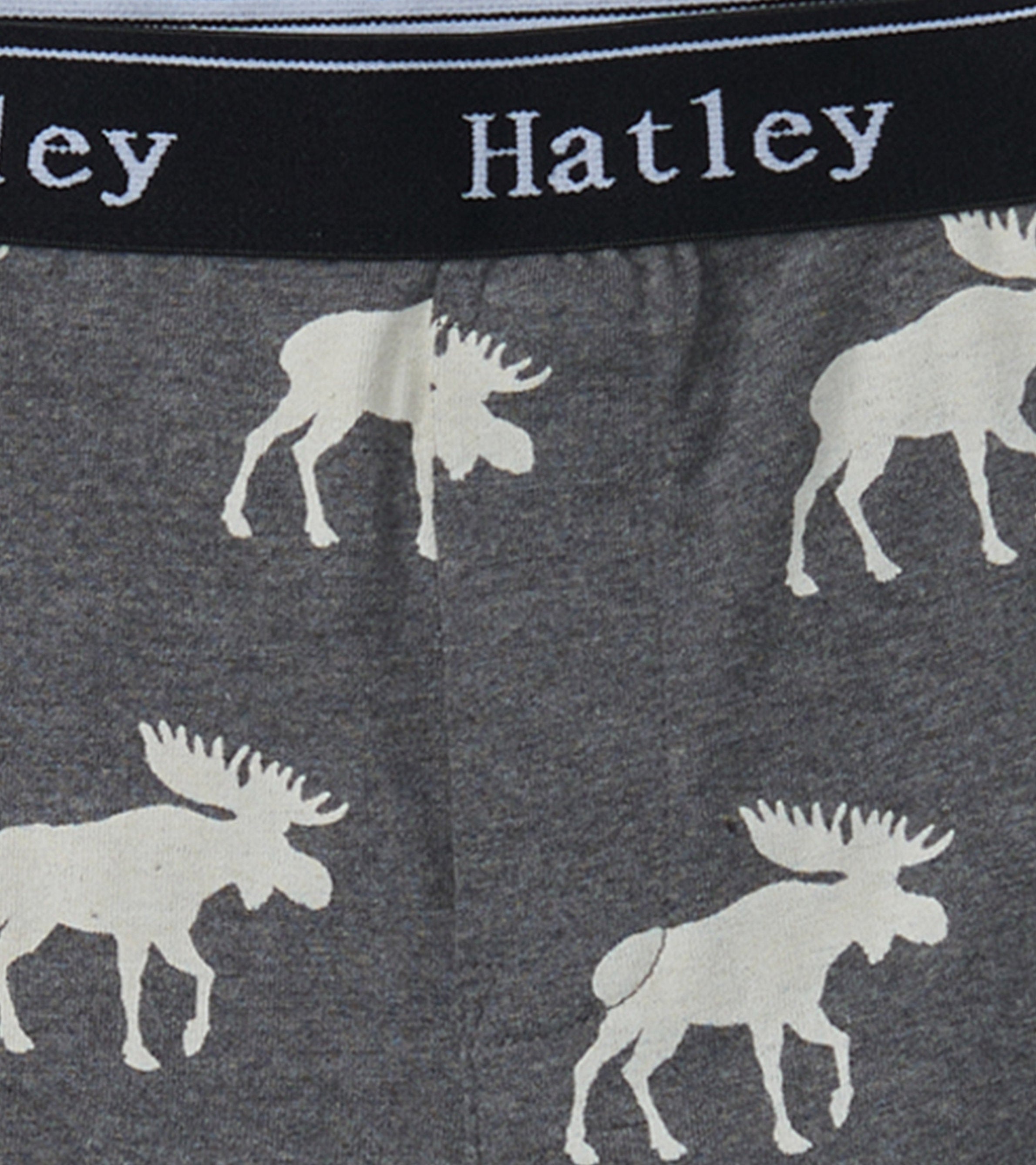 Hatley Boys Silhouette Animals 3 Pack Boxer Briefs