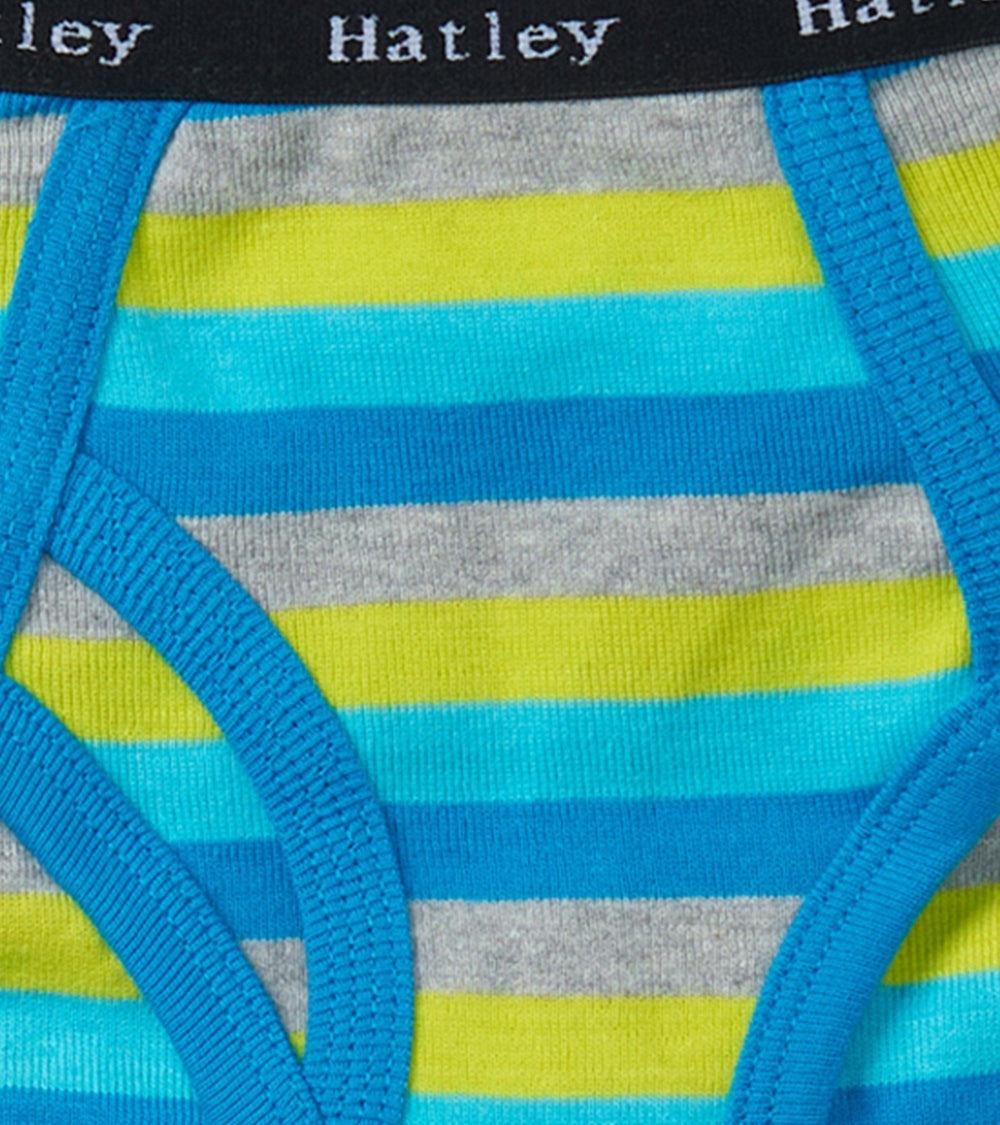 Hatley Boys Stripes 3 Pack Classic Briefs