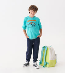 Hatley Boys Stegosaurus Glow in the Dark Long Sleeve Graphic Tee