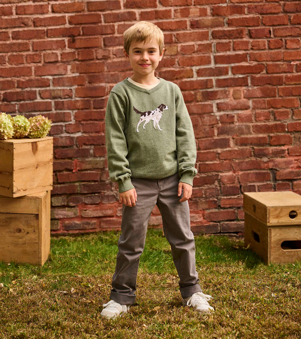 Hatley Boys Hunting Dogs V-Neck Sweater