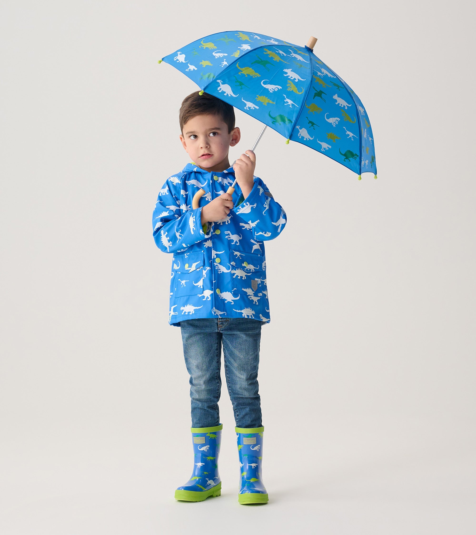 Hatley Color Changing Dinosaur Ménagerie Raincoat