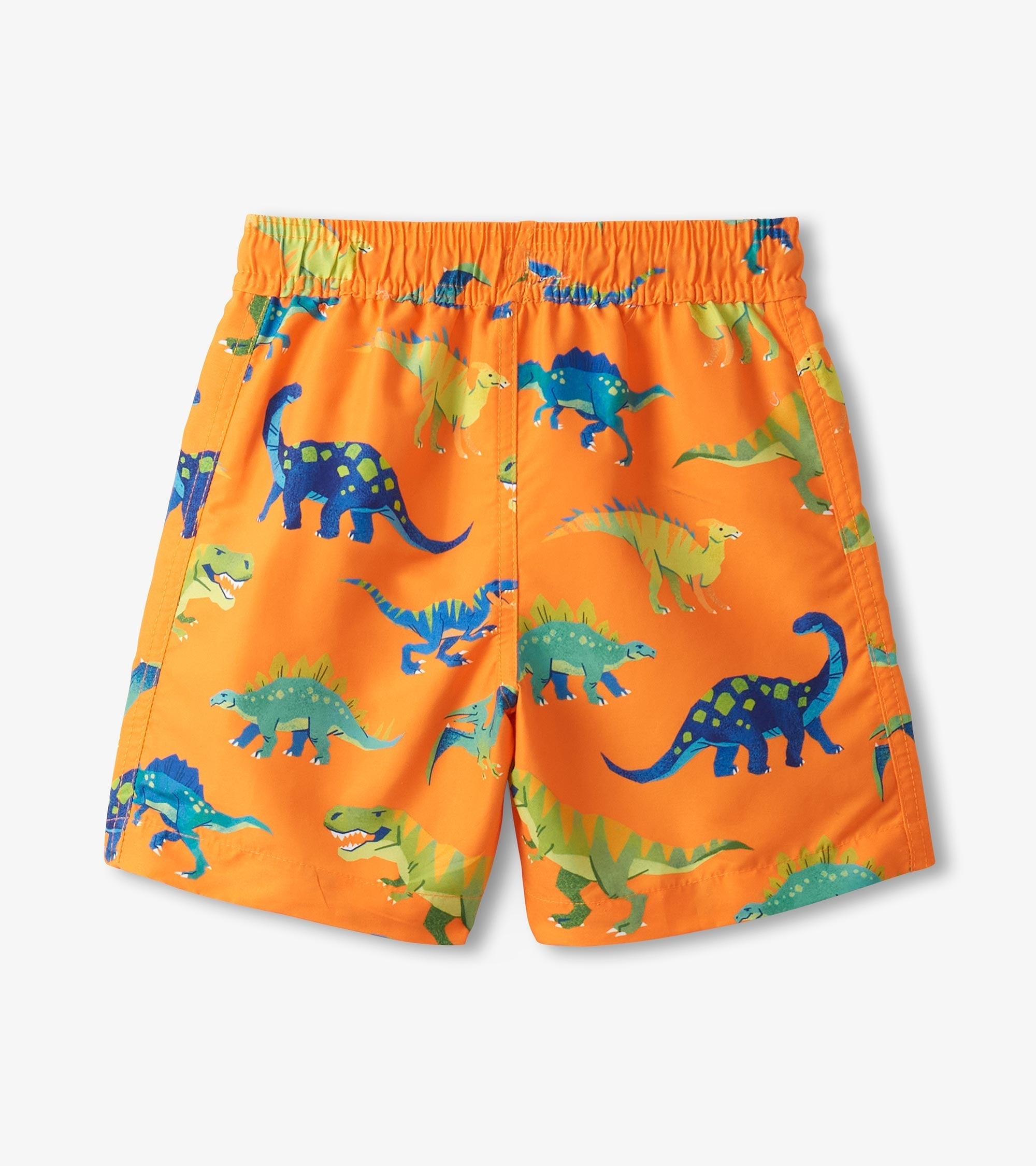 Hatley Boys Colorblock Dino Swim Shorts