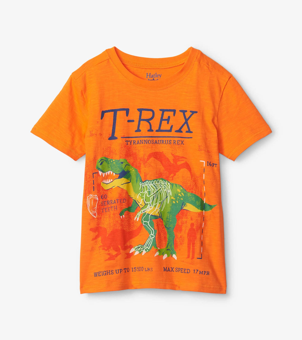 Hatley T-Rex Glow In The Dark Graphic Tee