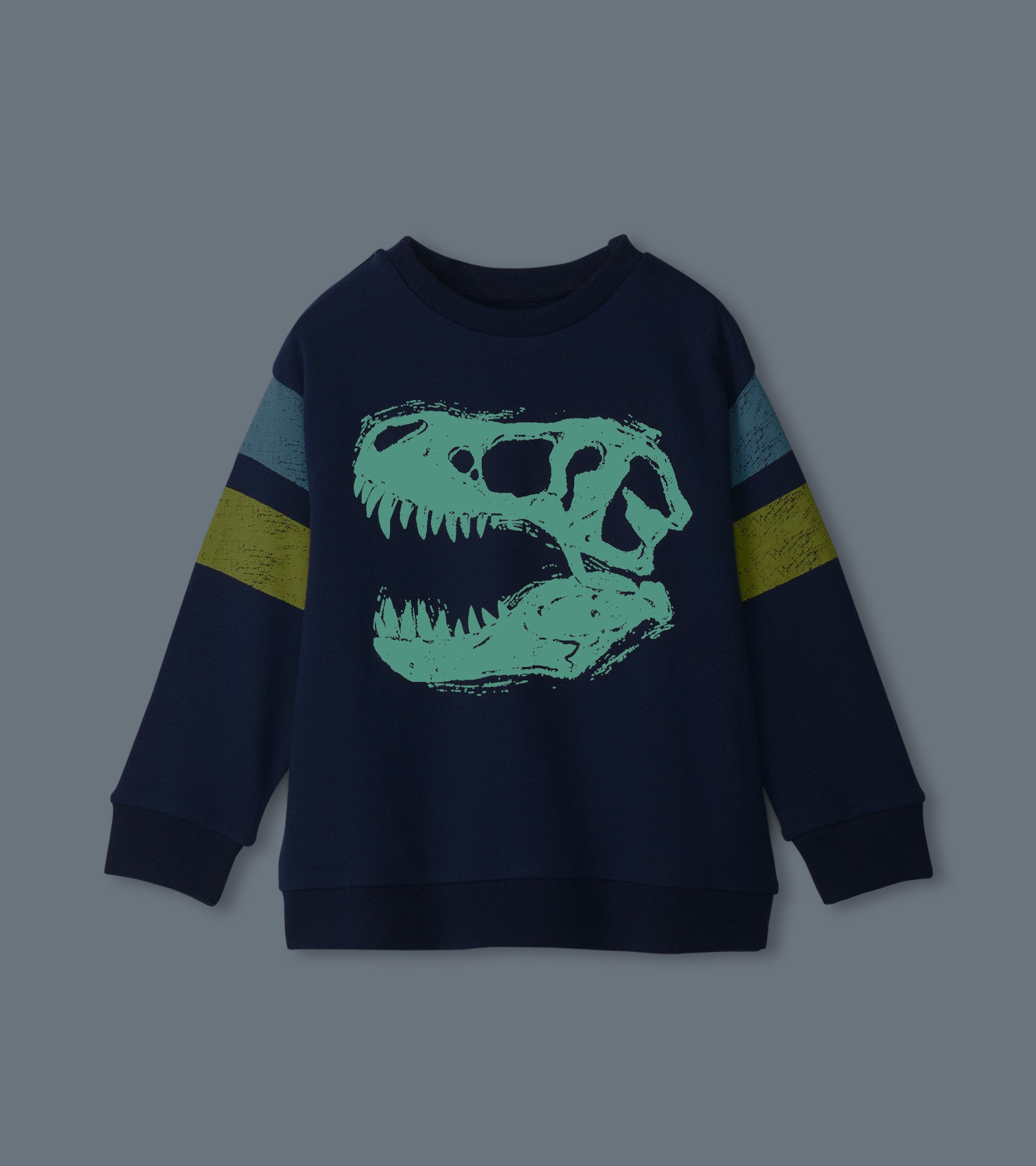 Hatley Boys Dino Glow Pullover Sweatshirt