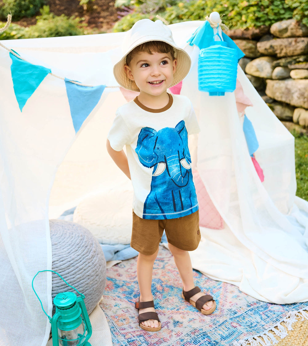 Hatley Baby & Toddler Boys Elephant T-Shirt & Shorts Set