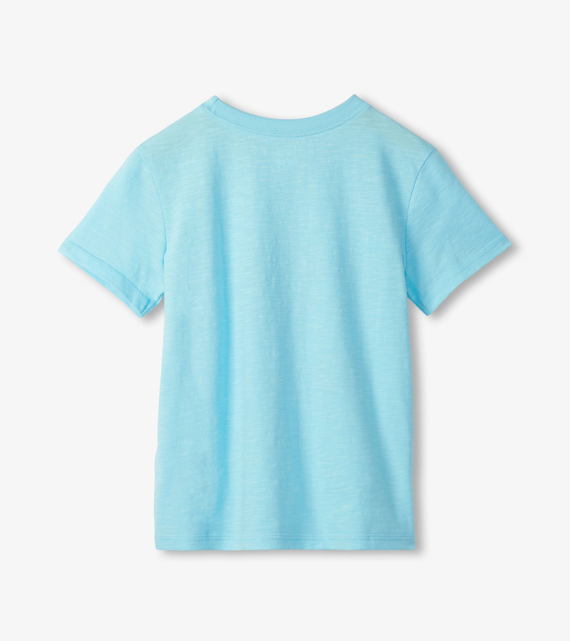 Hatley Boys Sting Ray Graphic Tee