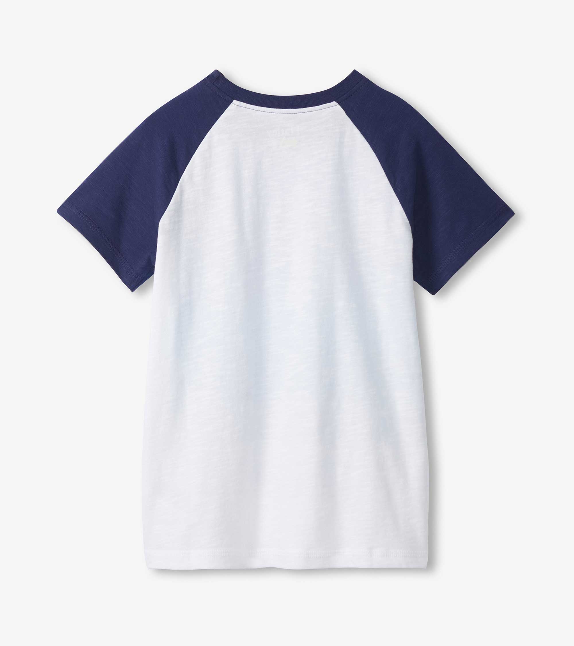 Hatley Boys Fin Stripes Raglan T-Shirt